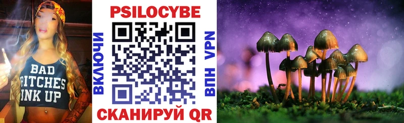 Купить где  Добрянка  Псилоцибиновые грибы Psilocybe 